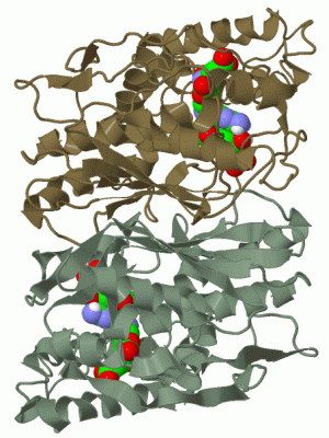 Image Biol.Unit 1 - manually