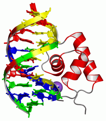 Image NMR Structure - manually