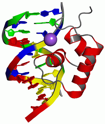 Image NMR Structure - manually