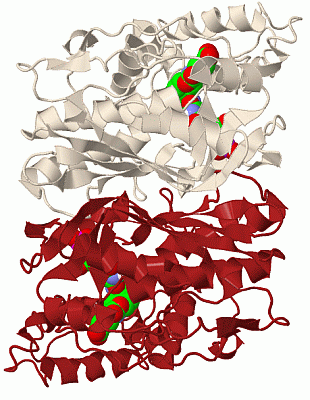 Image Biol.Unit 1 - manually