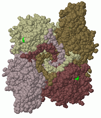 Image Biol.Unit 1 - manually