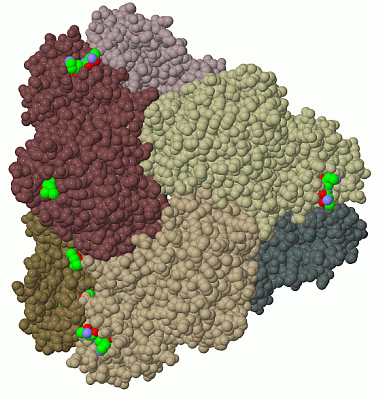 Image Biol.Unit 1 - manually