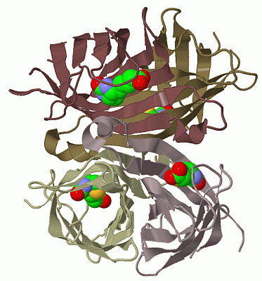 Image Biol.Unit 1 - manually