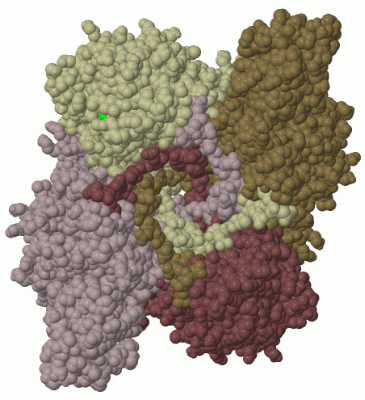 Image Biol.Unit 1 - manually