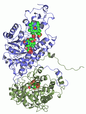 Image Asym.Unit - manually