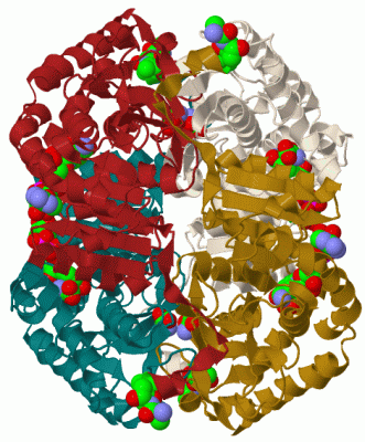 Image Biol.Unit 1 - manually