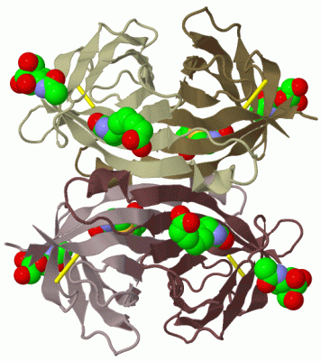 Image Biol.Unit 1 - manually