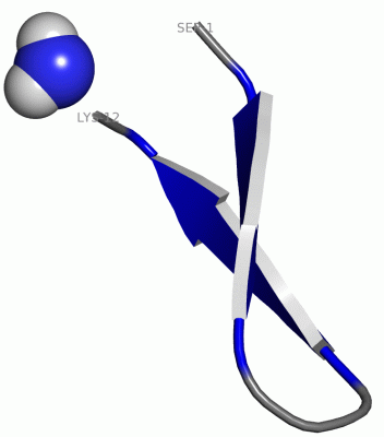 Image NMR Structure - manually