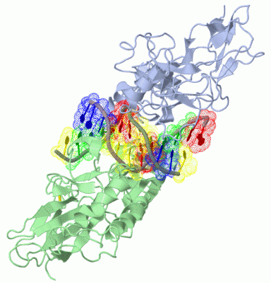 Image Biol.Unit 1 - manually