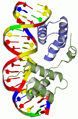 Image Asym./Biol. Unit - manually