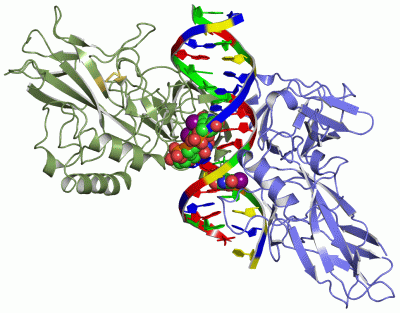 Image Asym./Biol. Unit - manually