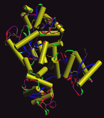 Image Asym./Biol. Unit - manually