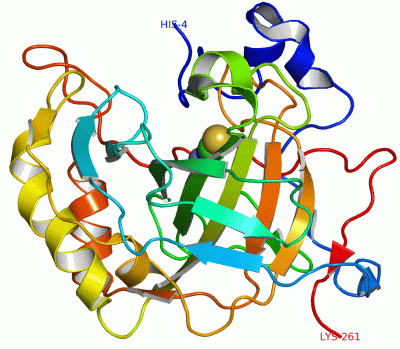 Image Asym./Biol. Unit - manually