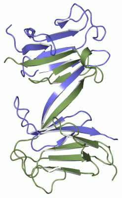 Image Asym./Biol. Unit - manually