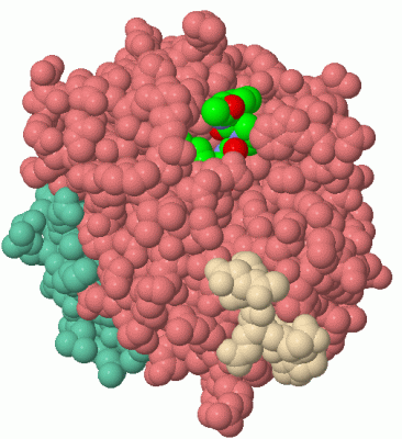 Image Asym./Biol. Unit - manually