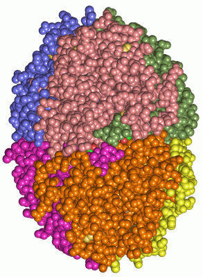 Image Asym./Biol. Unit - manually