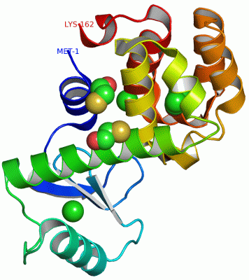 Image Asym./Biol. Unit - manually