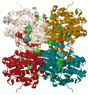 Image Biol.Unit 1 - manually