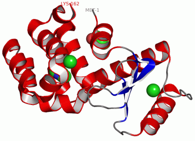 Image Asym./Biol. Unit - manually