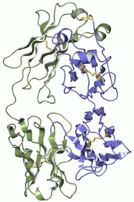 Image Asym./Biol. Unit - manually