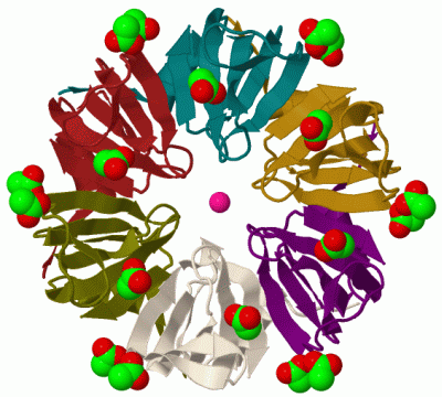 Image Biol.Unit 1 - manually