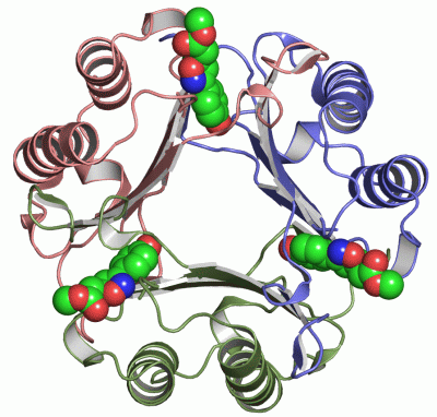 Image Asym./Biol. Unit - manually