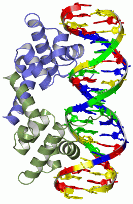 Image Asym./Biol. Unit - manually