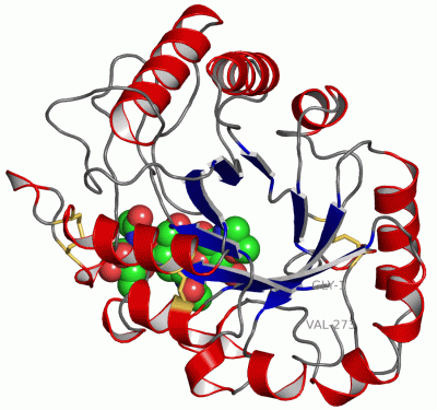 Image Asym./Biol. Unit - manually