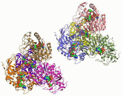 Image Asym.Unit - manually