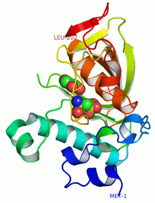 Image Asym./Biol. Unit - manually