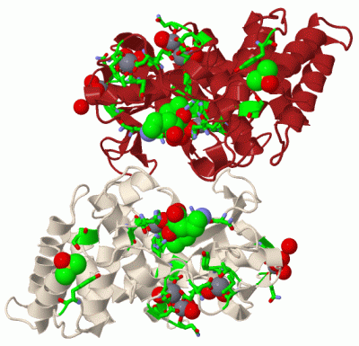 Image Asym./Biol. Unit - manually