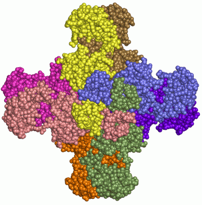 Image Asym./Biol. Unit - manually