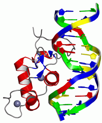 Image Biol.Unit 1 - manually