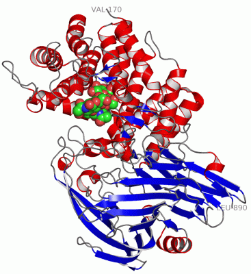 Image Asym./Biol. Unit - manually