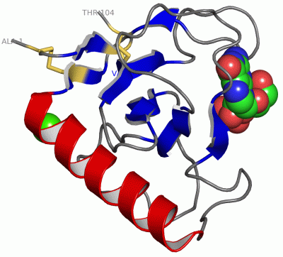 Image Asym./Biol. Unit - manually