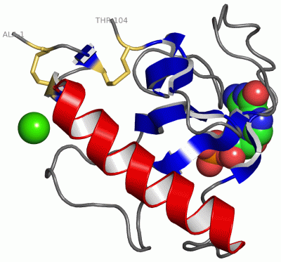 Image Asym./Biol. Unit - manually