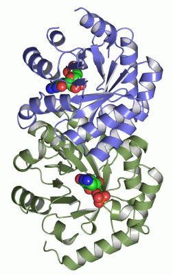 Image Asym./Biol. Unit - manually