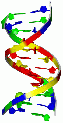 Image Asym./Biol. Unit - manually