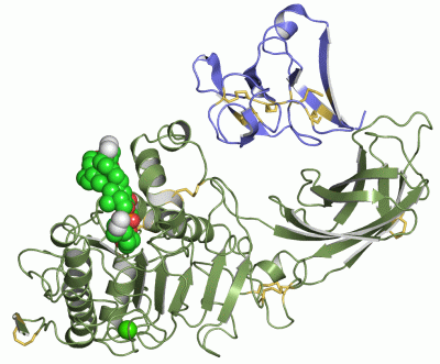 Image Asym./Biol. Unit - manually