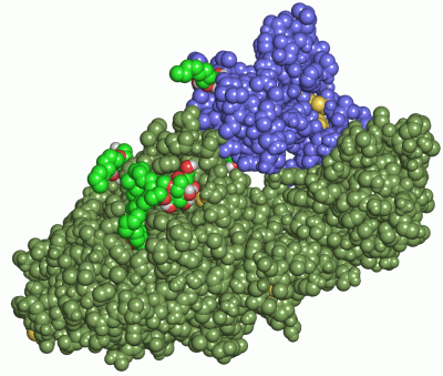 Image Asym./Biol. Unit - manually