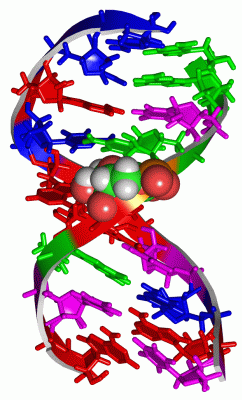 Image NMR Structure - manually