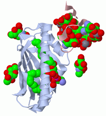 Image Biol.Unit 1 - manually