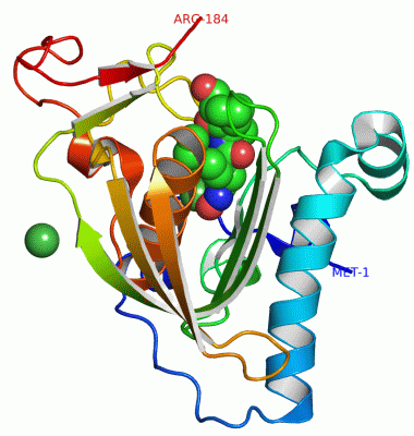 Image Asym./Biol. Unit - manually