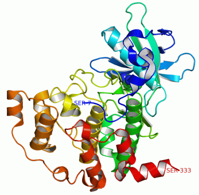 Image Asym./Biol. Unit - manually