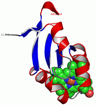 Image Asym./Biol. Unit - manually