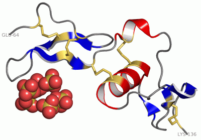 Image Asym./Biol. Unit - manually