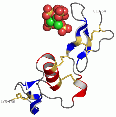 Image Asym./Biol. Unit - manually