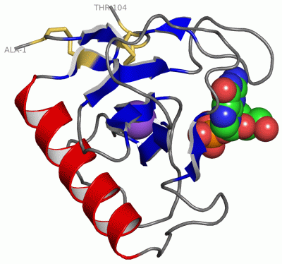Image Asym./Biol. Unit - manually