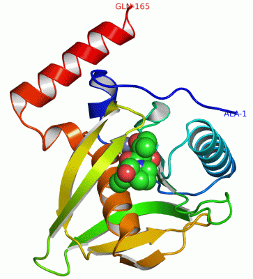 Image Asym./Biol. Unit - manually