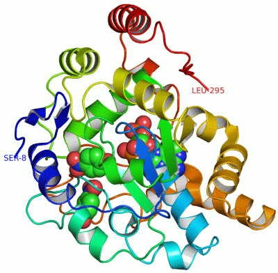 Image Asym./Biol. Unit - manually